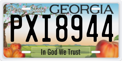 GA license plate PXI8944