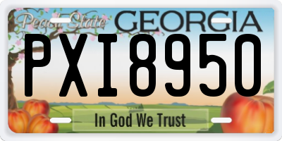 GA license plate PXI8950