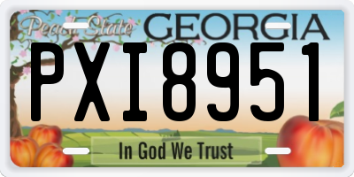 GA license plate PXI8951