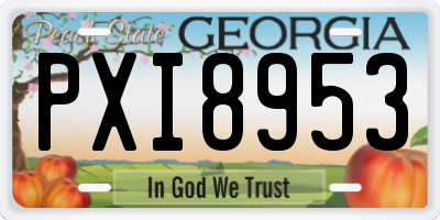 GA license plate PXI8953