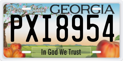 GA license plate PXI8954