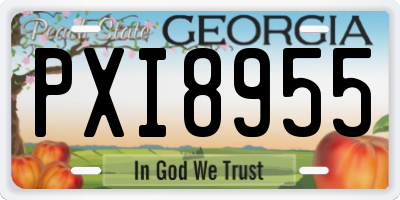 GA license plate PXI8955