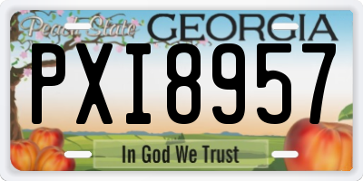 GA license plate PXI8957