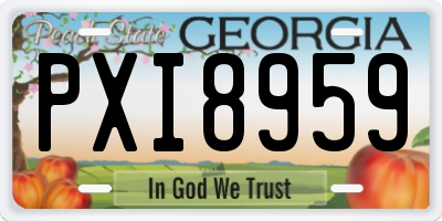 GA license plate PXI8959