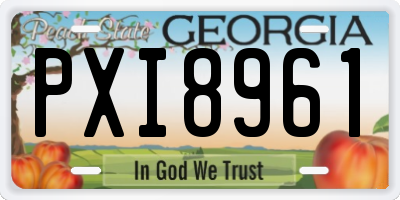 GA license plate PXI8961