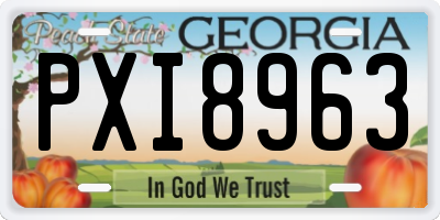 GA license plate PXI8963