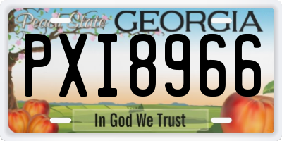 GA license plate PXI8966