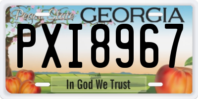 GA license plate PXI8967