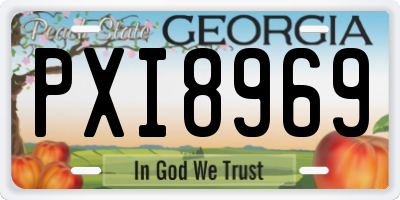 GA license plate PXI8969