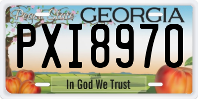 GA license plate PXI8970