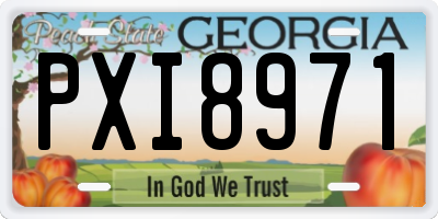 GA license plate PXI8971