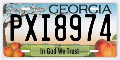 GA license plate PXI8974