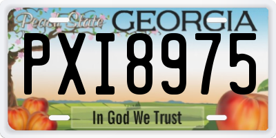 GA license plate PXI8975