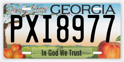 GA license plate PXI8977