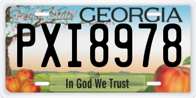 GA license plate PXI8978