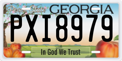 GA license plate PXI8979