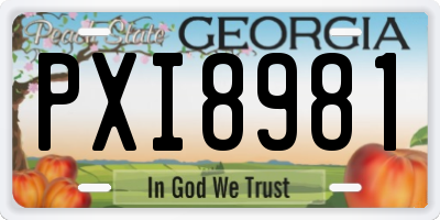 GA license plate PXI8981