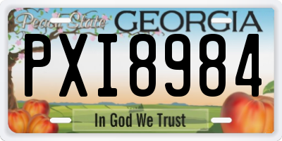 GA license plate PXI8984