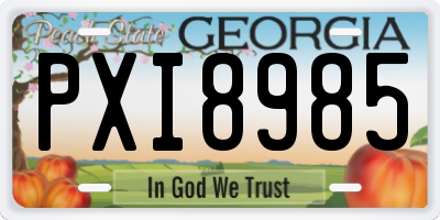 GA license plate PXI8985