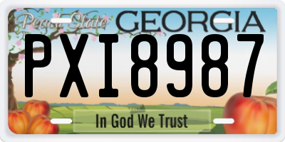 GA license plate PXI8987