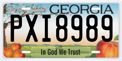 GA license plate PXI8989