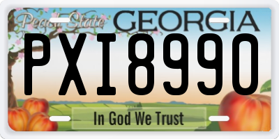 GA license plate PXI8990