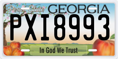 GA license plate PXI8993