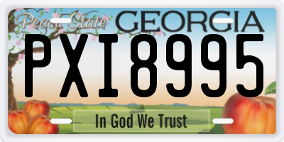 GA license plate PXI8995