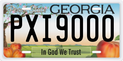 GA license plate PXI9000
