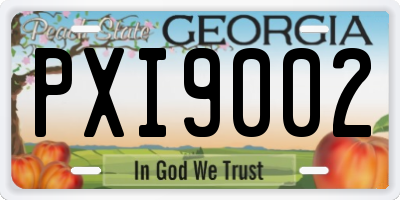 GA license plate PXI9002