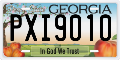 GA license plate PXI9010