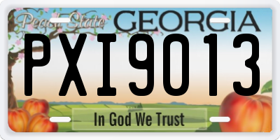 GA license plate PXI9013