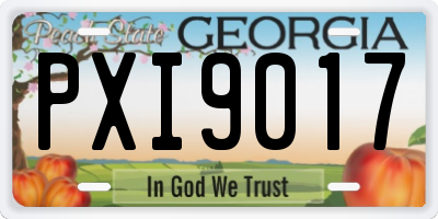 GA license plate PXI9017