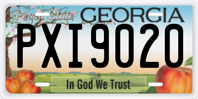 GA license plate PXI9020