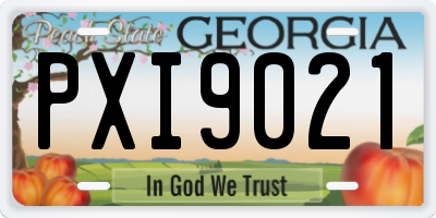 GA license plate PXI9021