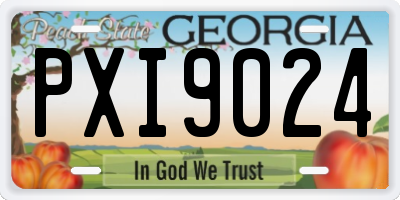 GA license plate PXI9024