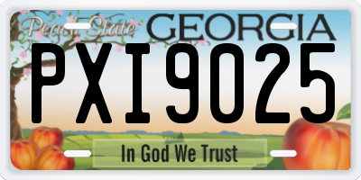 GA license plate PXI9025