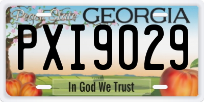 GA license plate PXI9029