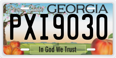 GA license plate PXI9030