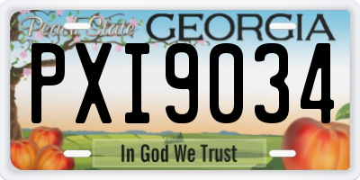 GA license plate PXI9034