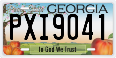 GA license plate PXI9041