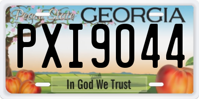 GA license plate PXI9044