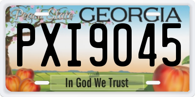 GA license plate PXI9045