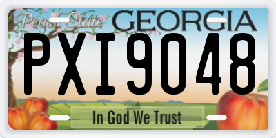 GA license plate PXI9048