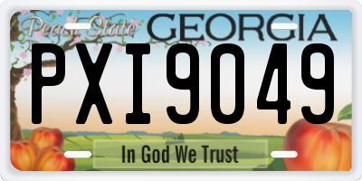 GA license plate PXI9049