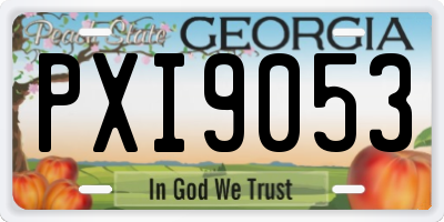 GA license plate PXI9053
