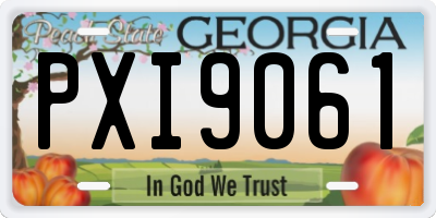 GA license plate PXI9061