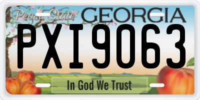 GA license plate PXI9063