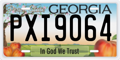 GA license plate PXI9064