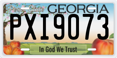 GA license plate PXI9073
